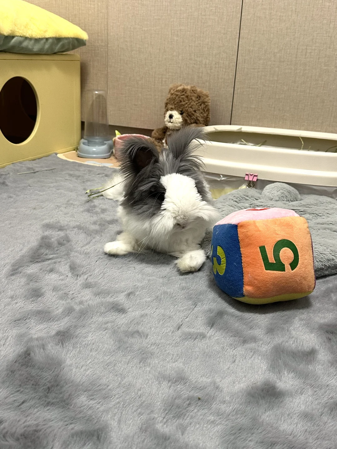 邪恶小鼻嘎