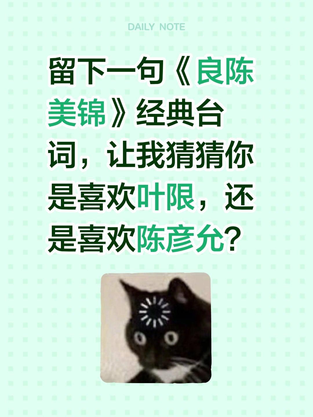 留下一句《良陈美锦》经典台词，让我猜猜你是喜欢叶限，还是喜欢陈彦允？良陈美锦 任