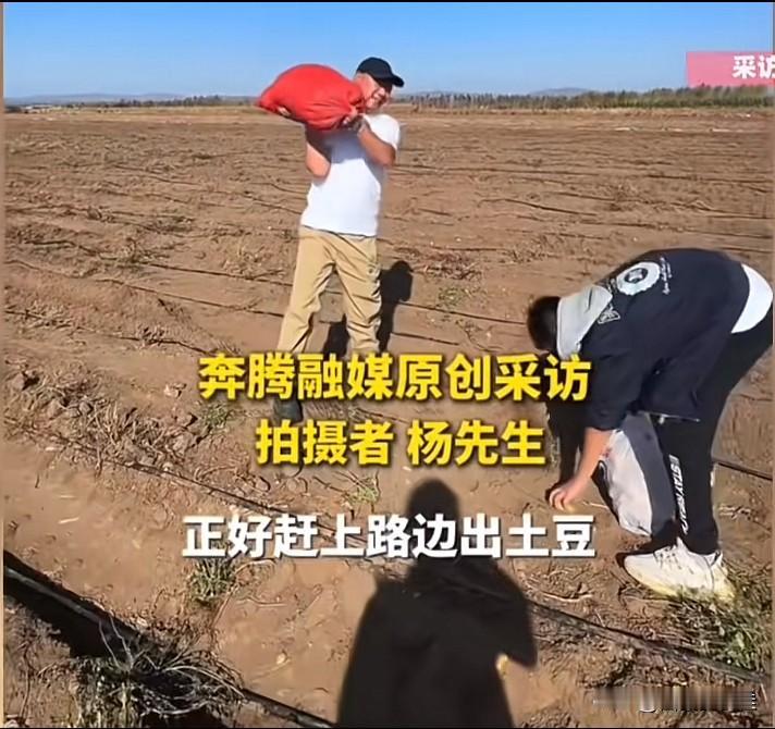 你去内蒙捡土豆了吗？
这两天全网都是在内蒙古捡土豆的视频。
 旅游途中遇到更有意