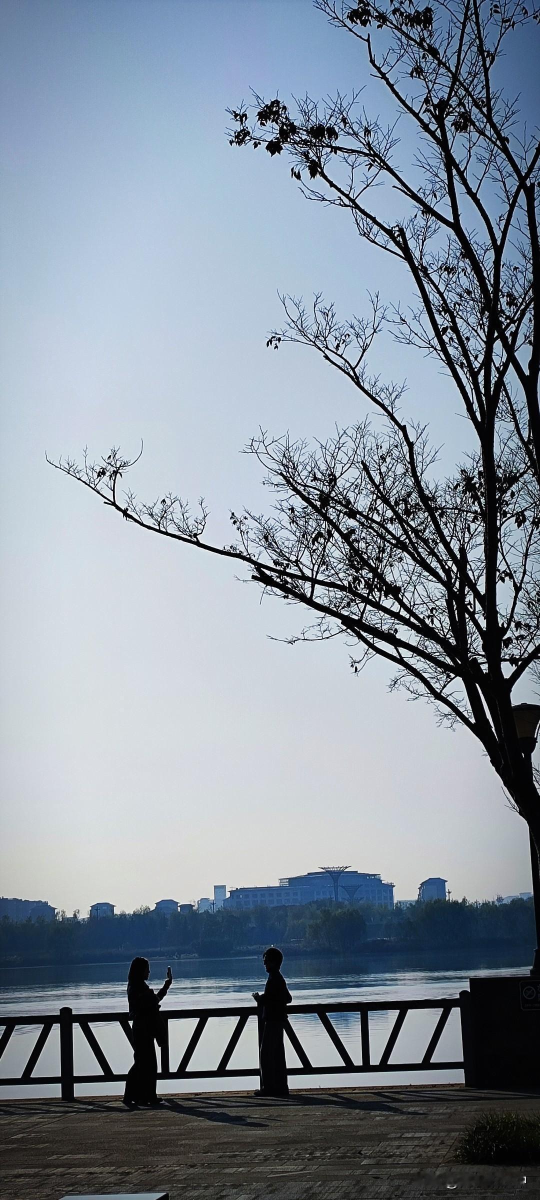 晒图笔记大赛阳光好的午后，汉江湿地公园里，摆个姿势拍张美照。为什么喜欢拍照？虽然