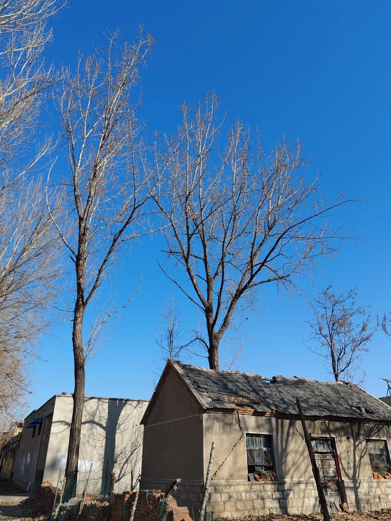 天南地北大拜年老家的天空永远那么蓝