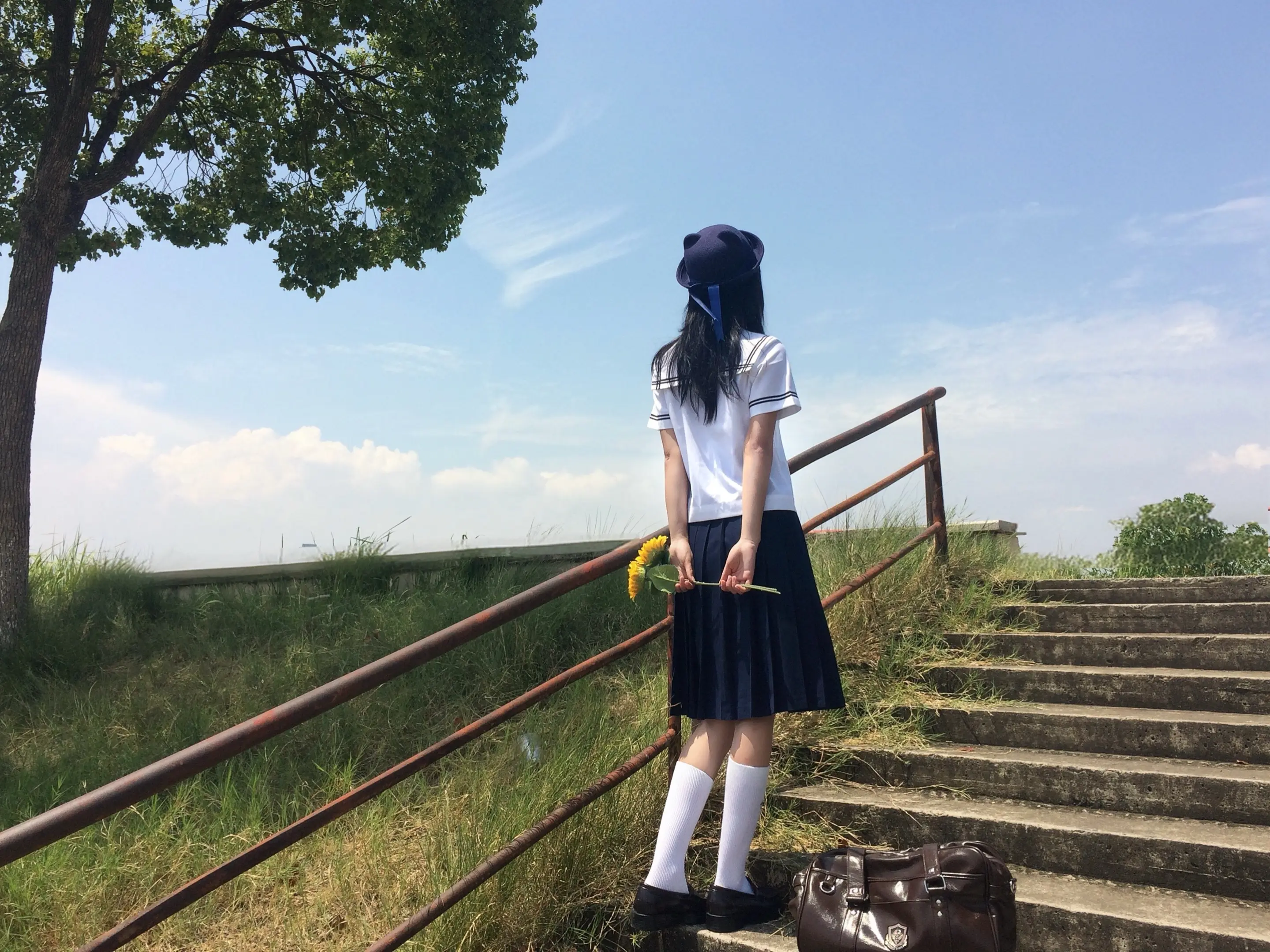 七岁那年，抓住一只蝉以为能抓住整个夏天。