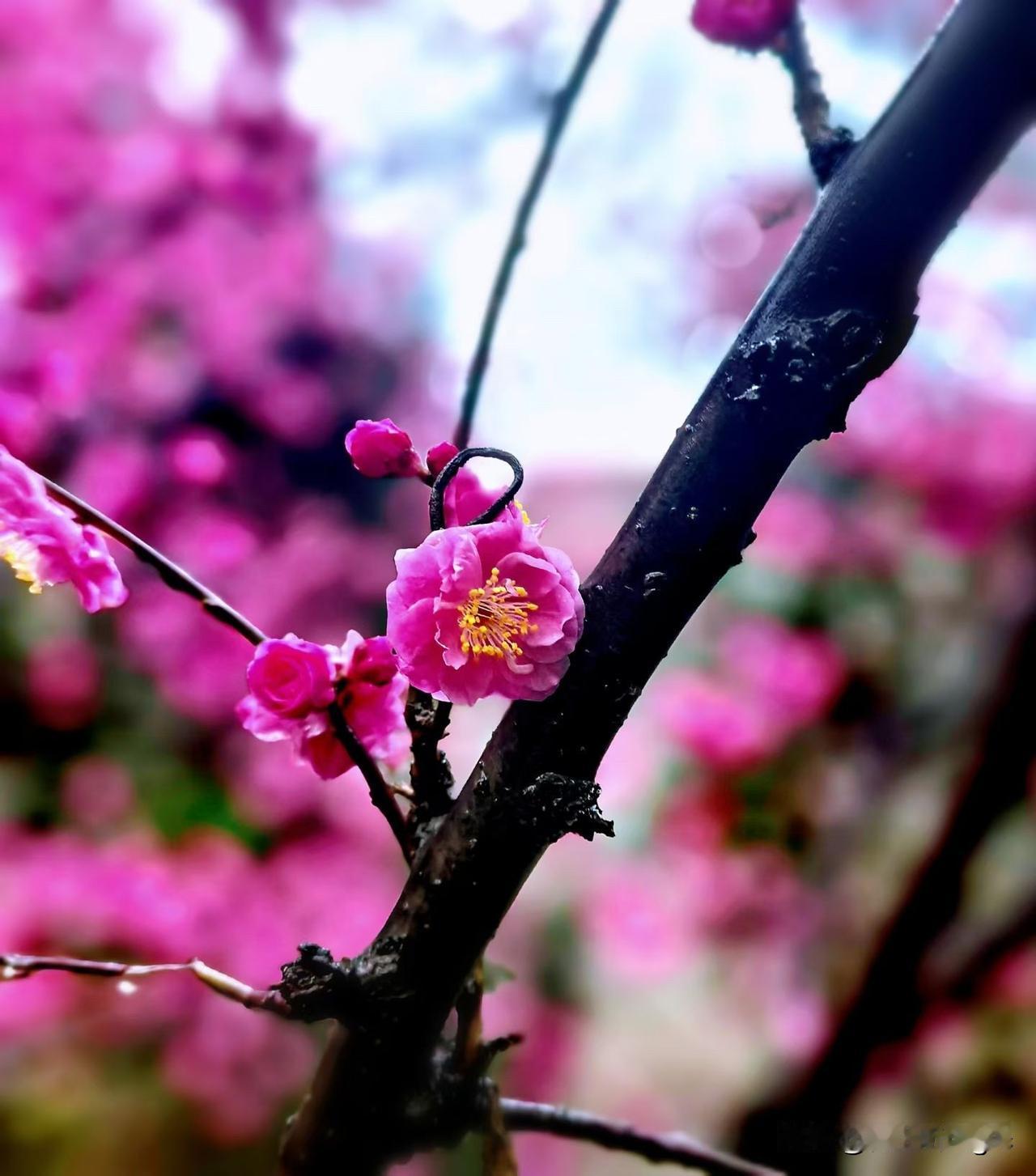 青山不墨自成画，
绿水无弦万古琴。
清风不语知人意，
爱心无声震乾坤！