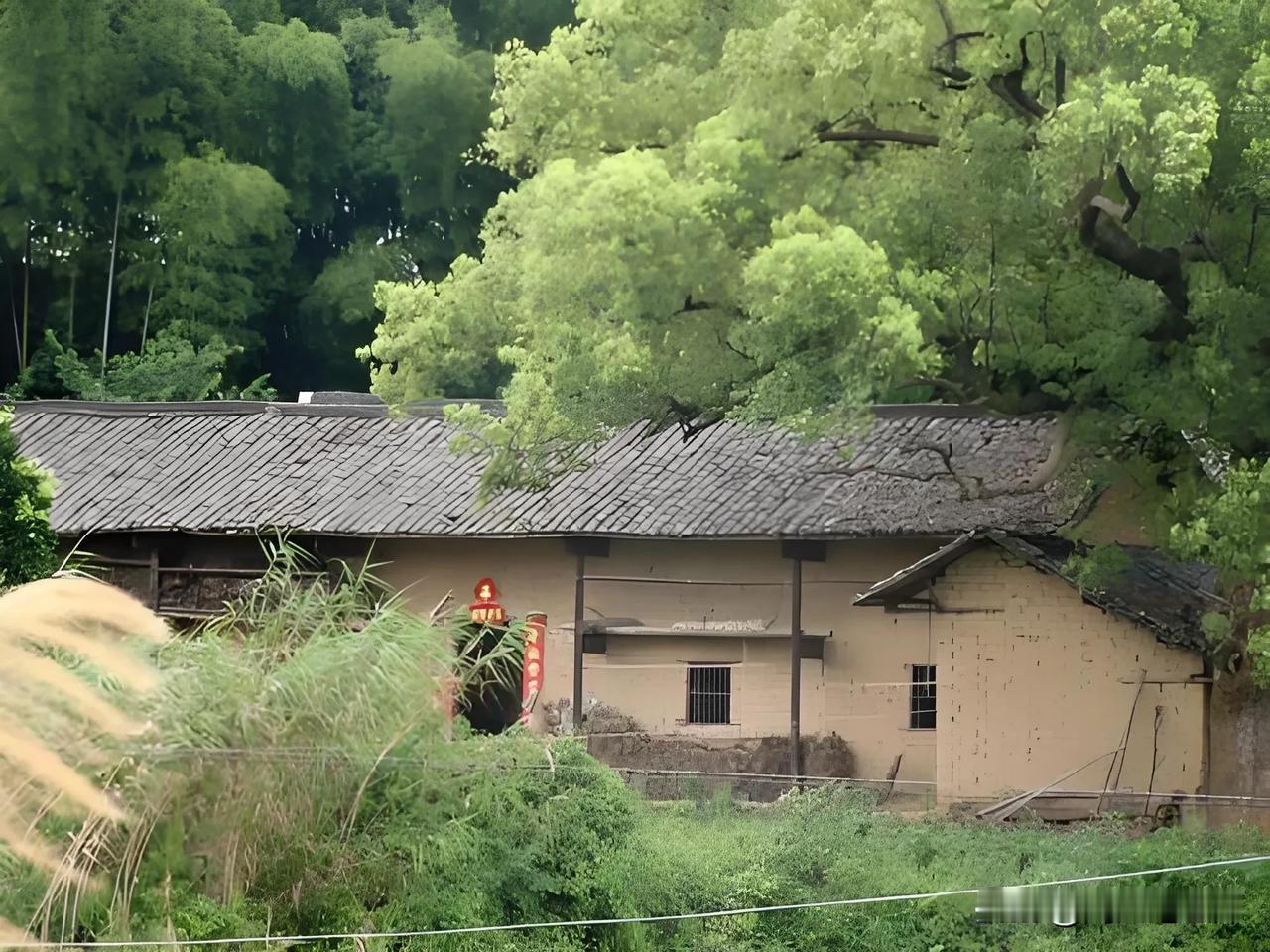 “骗我感情可以，骗我的钱不行！”
周大炮老师退休后和老婆生活在永州乡下的老家，过
