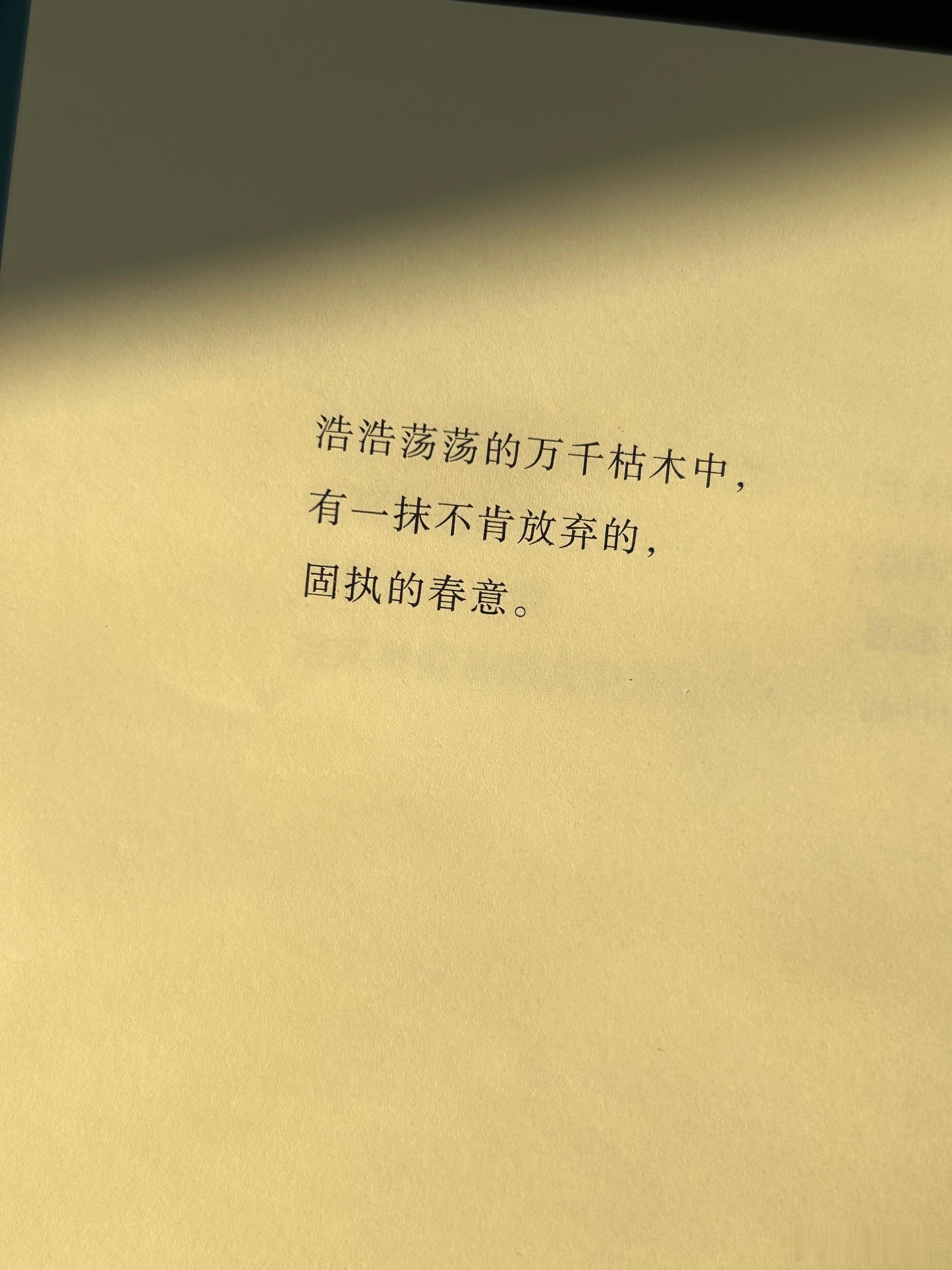 麦琳翻到的是：“当我们真正想靠近一个人，裸露灵魂永远比裸露皮肤更有效”黄圣依翻到