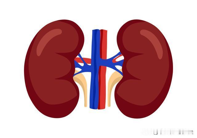 肾精足不足，看看这五点就知道了

①.牙齿
表现：牙齿松动，牙龈出血，脱落，牙酸