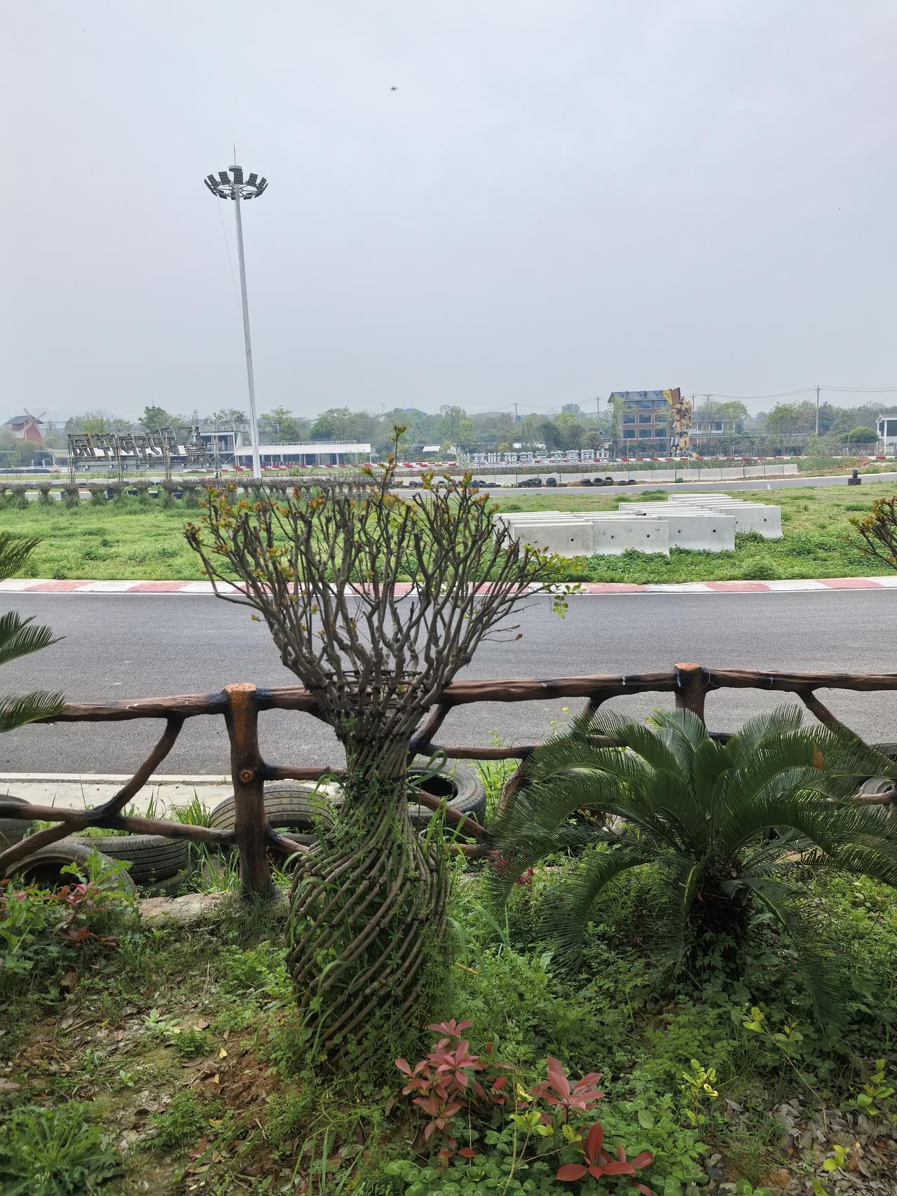 这是我觉得最适合去了的地方。。。。。。。。。。。。。。。。。。