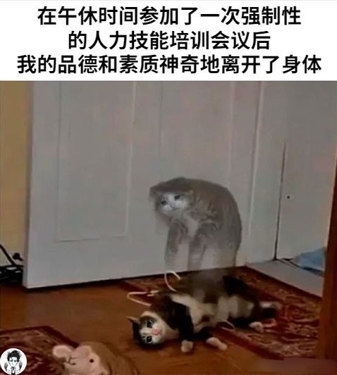 458这有点像我 