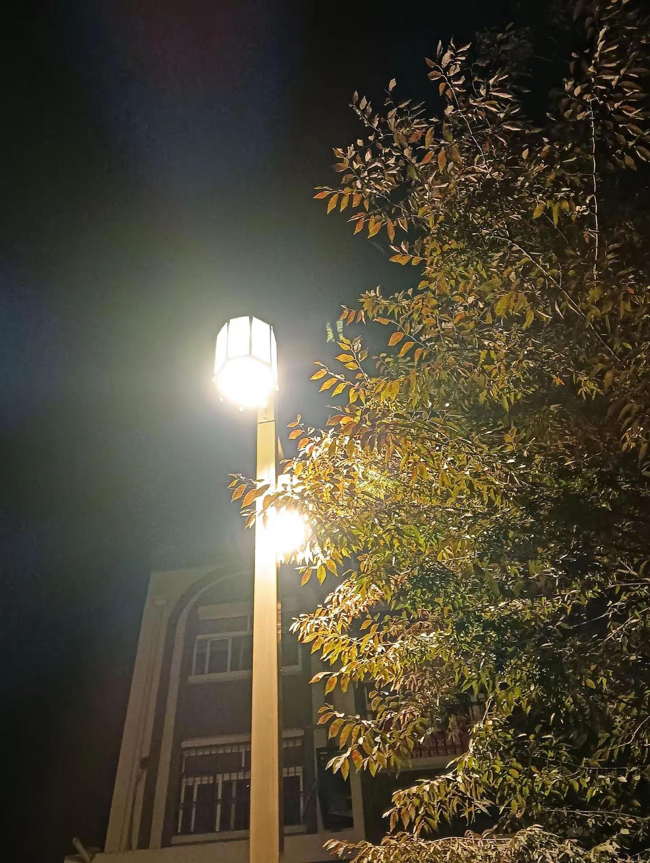 许多事都无能为力， 但是你又不得不去面对， 往往事不尽人意， 好像坚强才是唯一的