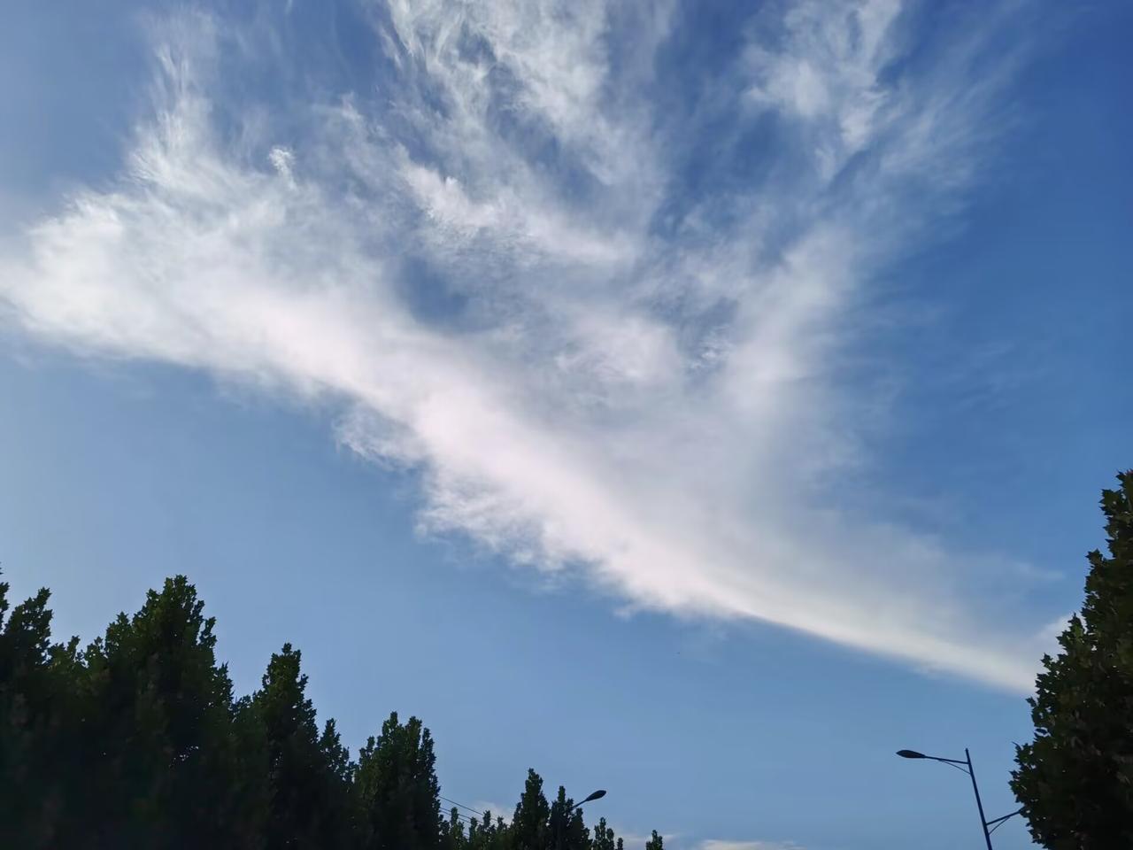 女人一旦找你帮忙，就是在暗示—————
找你借钱；
找你帮忙搬家；
找你修水龙头
