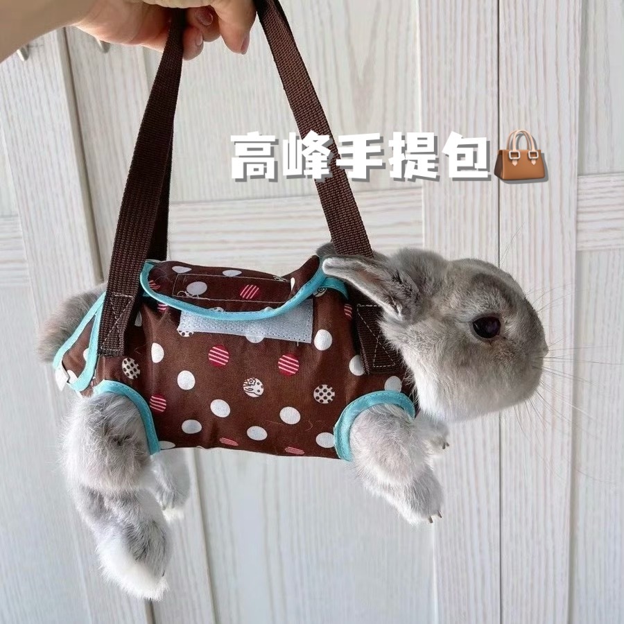 [熊猫]👜 