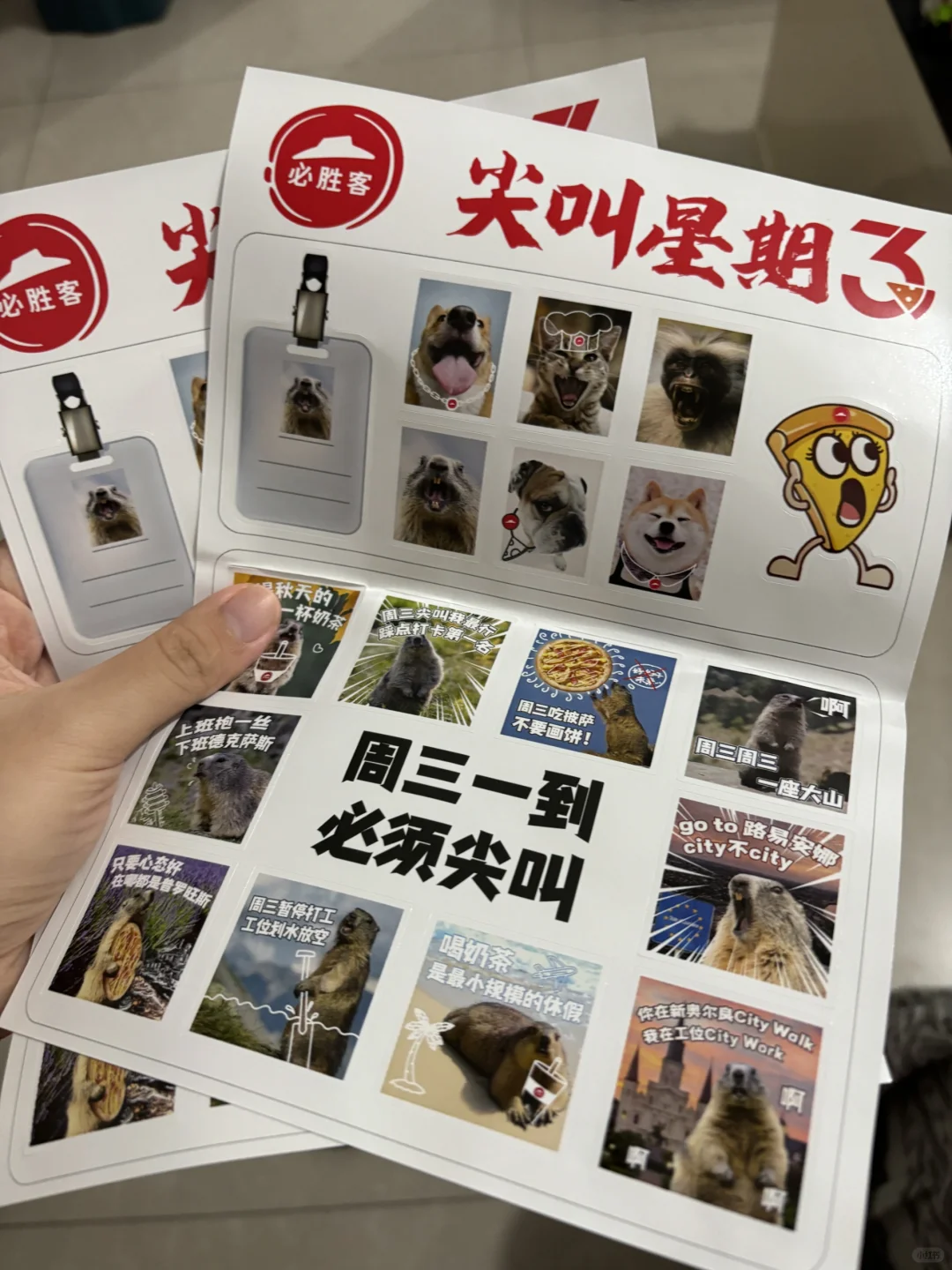 还得是土拨鼠，这个精神状态太搞笑了哈哈哈