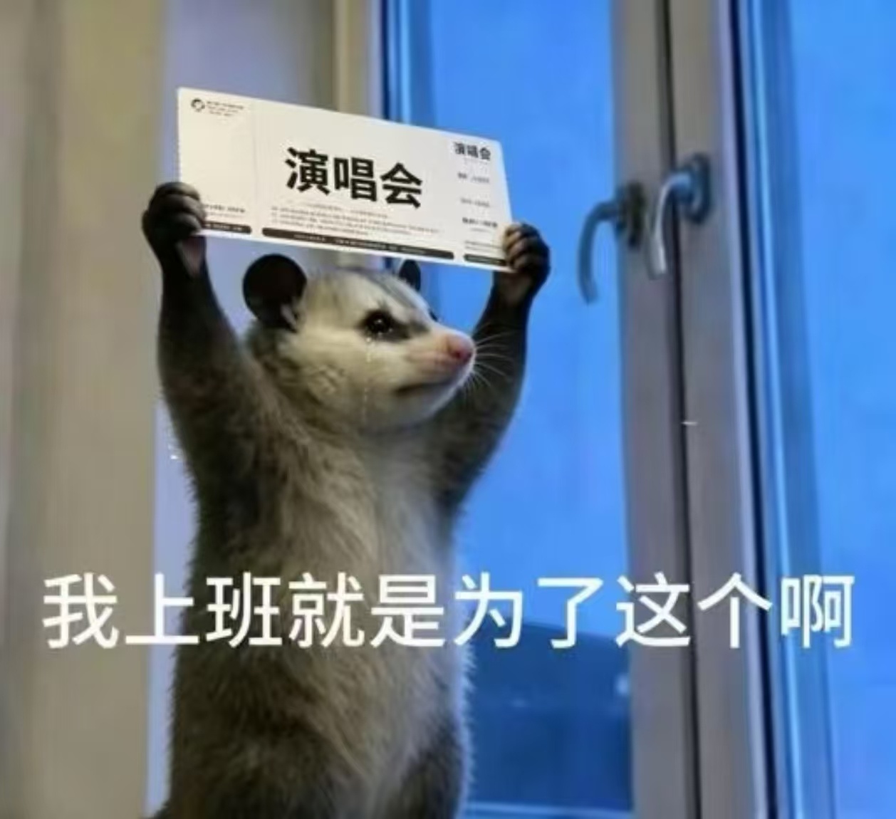 日子又有了盼头 