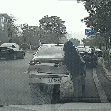 “被倒打一耙！”广东，司机拒绝帮忙放行李，女子暴力强拆后备箱，赔偿100元后诬告