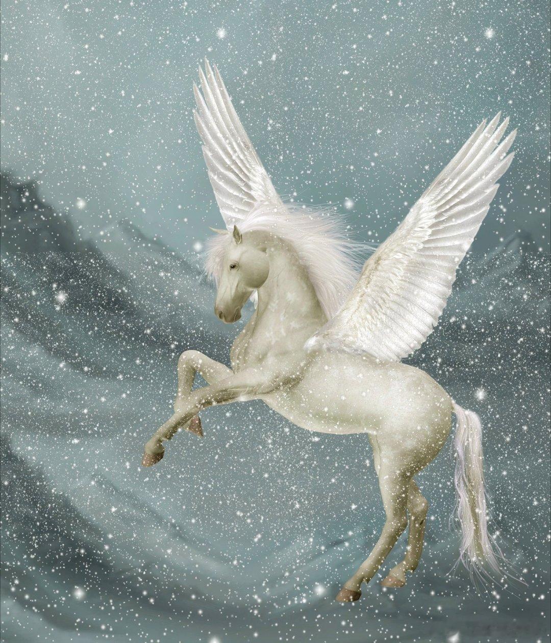 马年大吉【马年说马——天马行空】传说上古时候，马的背上长有双翅，能飞天、涉水、驰