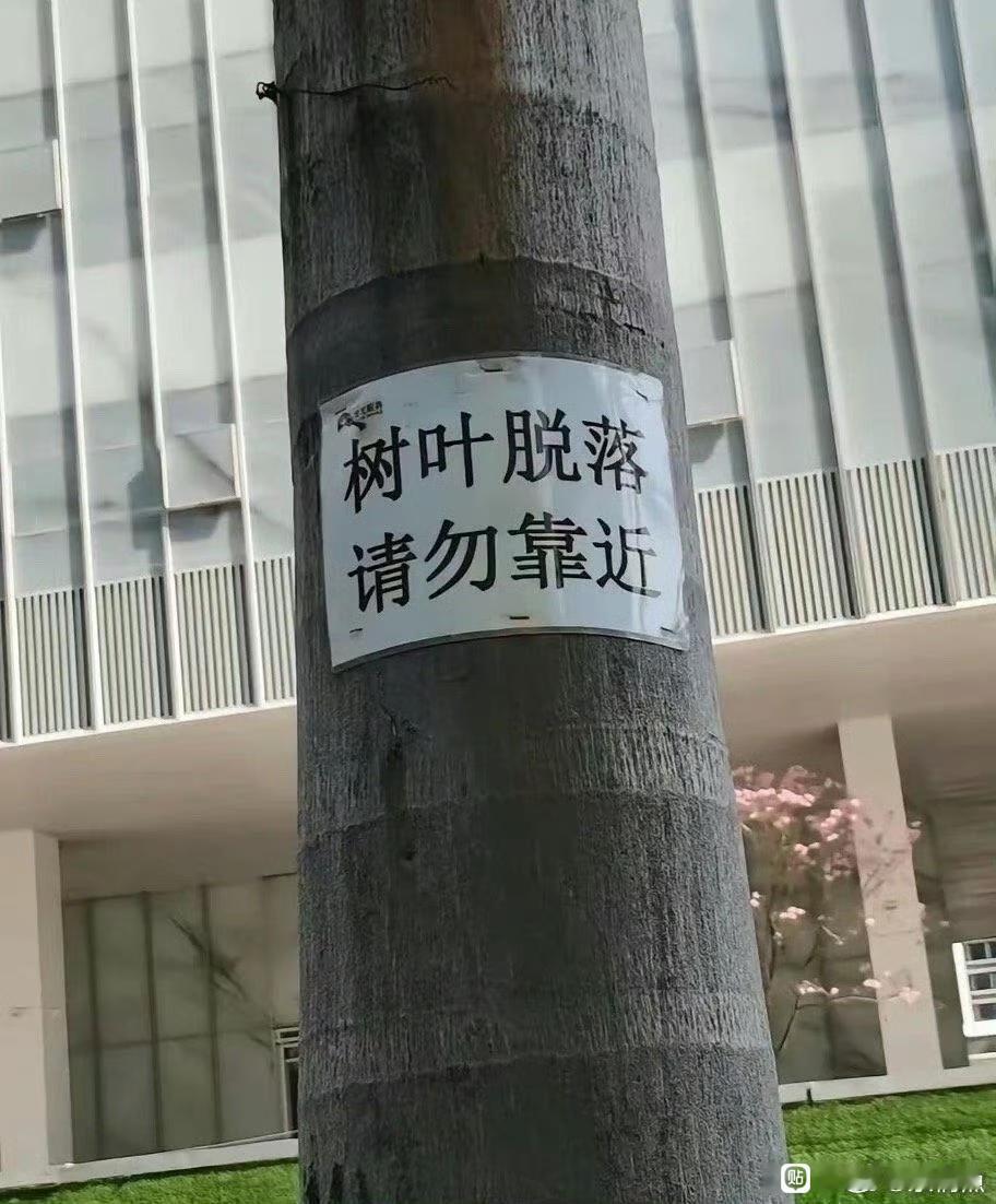 一片树叶能闯多大的祸 广东也太矫情了
￼