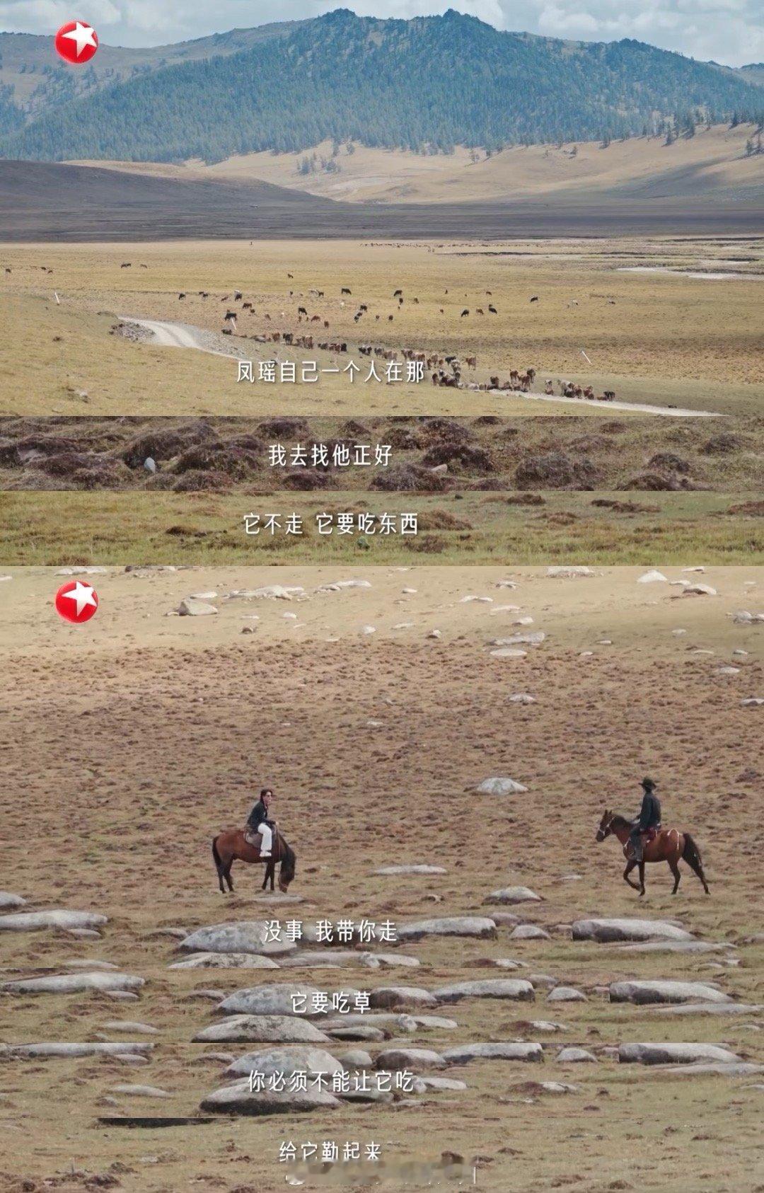 于适救了一马还有一马听谁在唱歌 这段看得人忍不住笑！刘凤瑶的马先“闹脾气”，站在