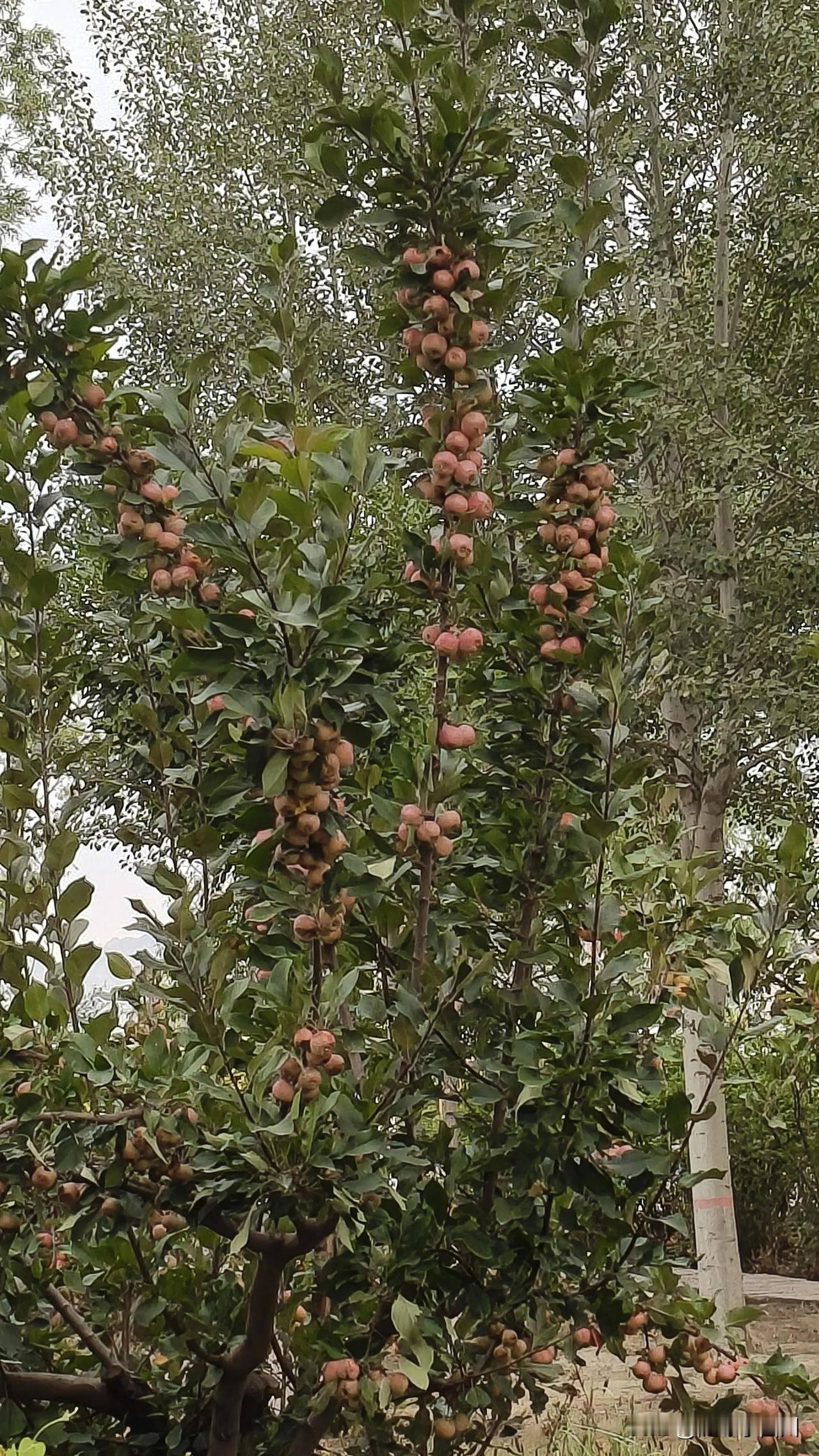 冬日生活打卡季