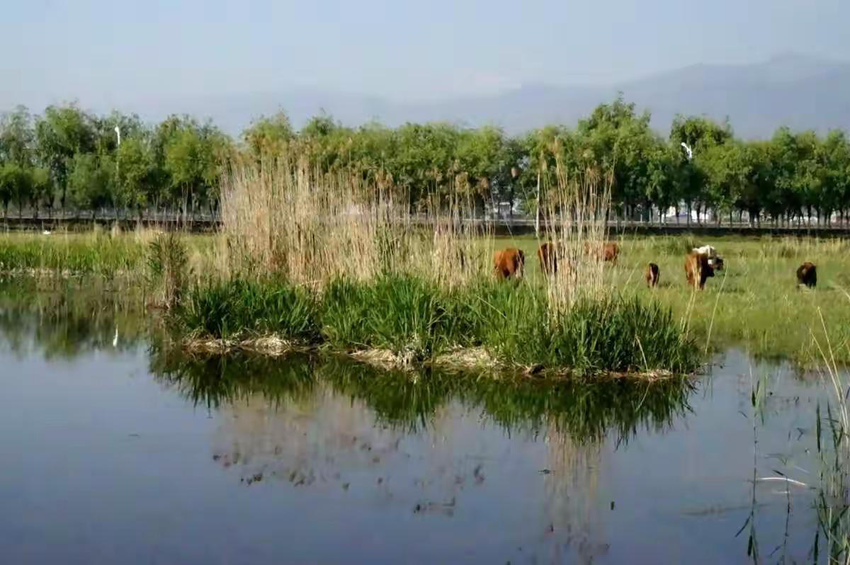 重阳，祈愿吾之朋友圈
            （大水渼社员）
        时