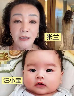我敢说，现在全网最乐呵的人， 就是马筱梅了。 直白一点说，近水楼台先得月，何况她