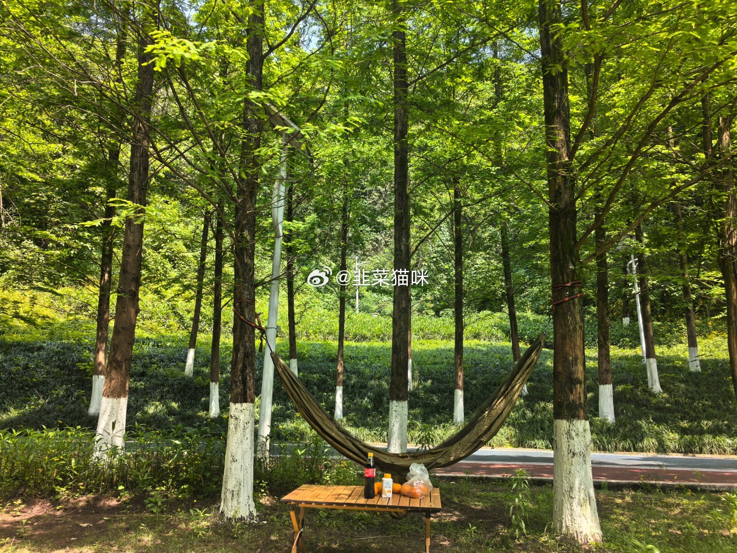 请欣赏我的蹄子