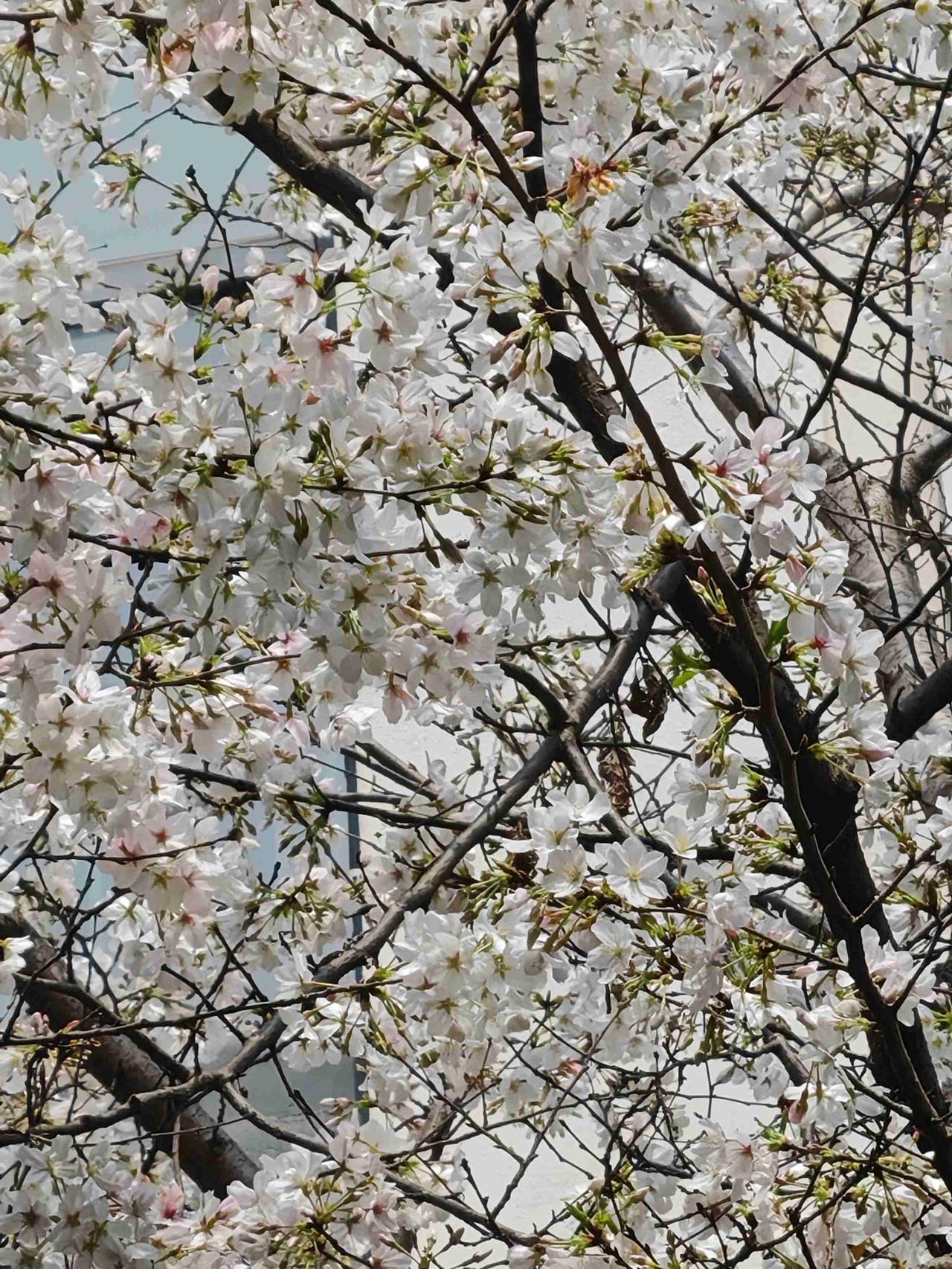 我的今日状态：😁轻松愉快
我这里的天气：☀️晴天