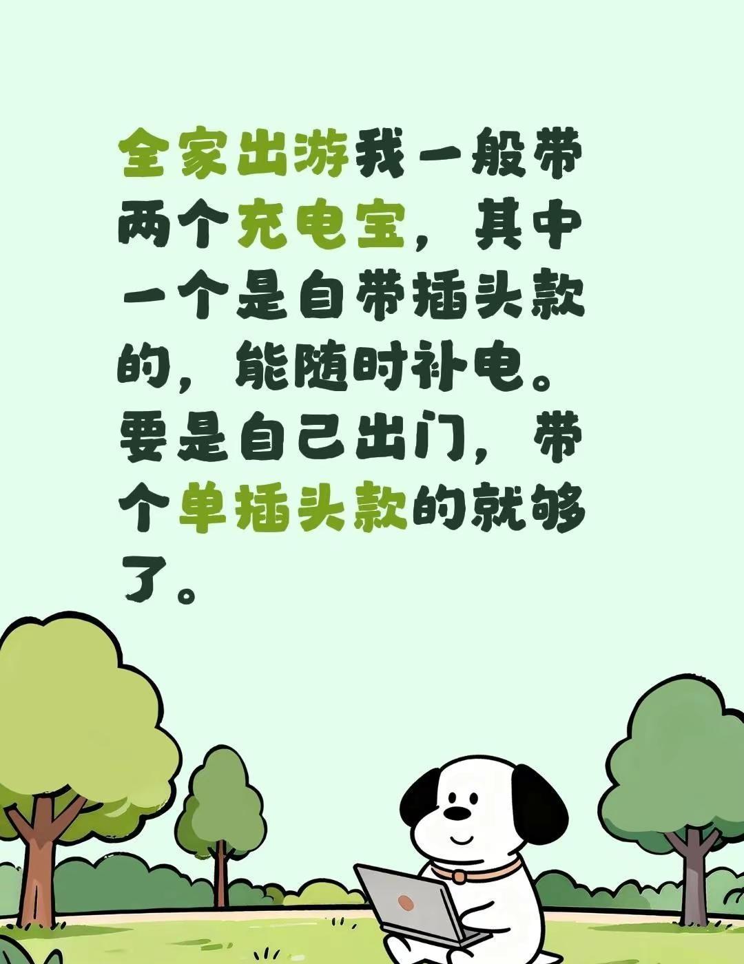 全家出游我一般带两个充电宝，其中一个是自带插头款的，能随时补电。要是自己出门，带