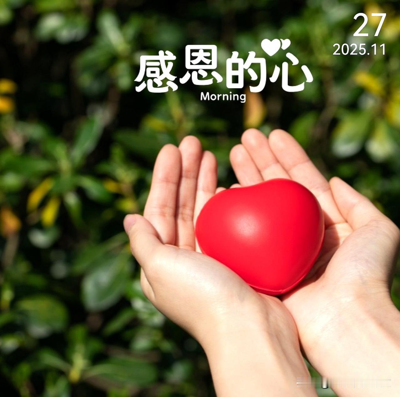 十一月的风携着清寒掠过窗棂，日历翻至第四个周四，感恩节的暖意便漫过了季节的萧瑟。