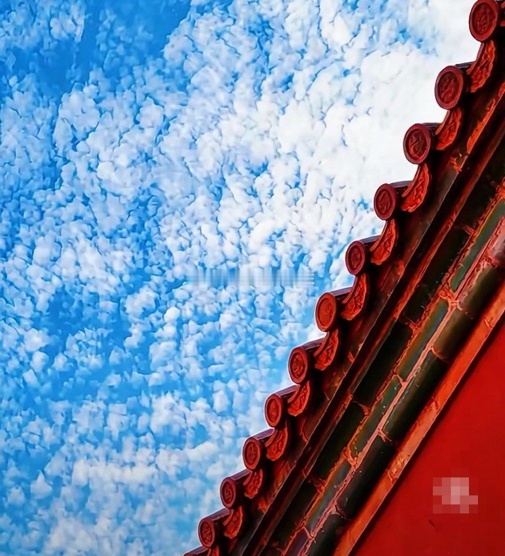 分享图片 