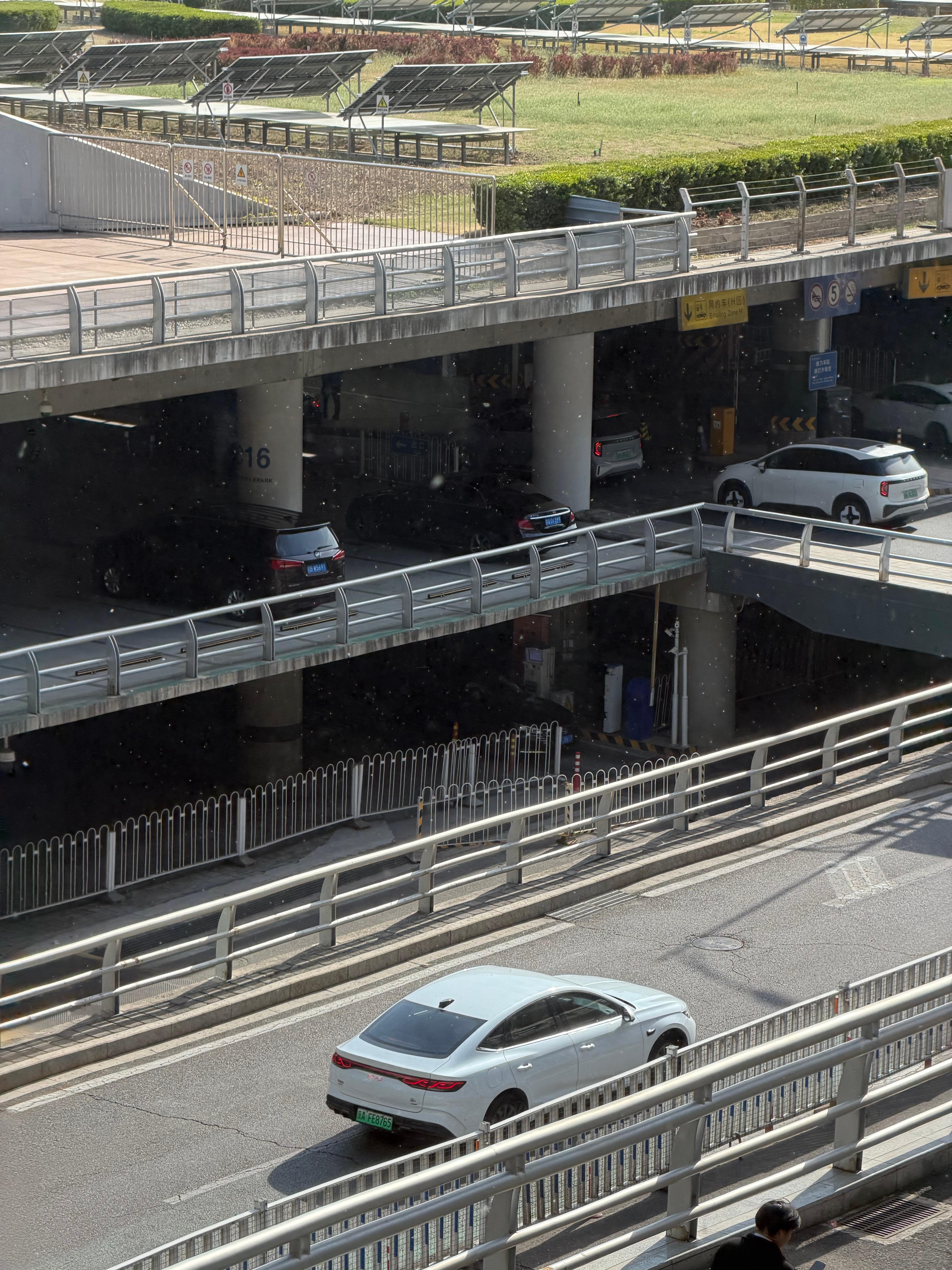首都这个柳絮太牛逼了哈哈 感觉比俺们太原猛 