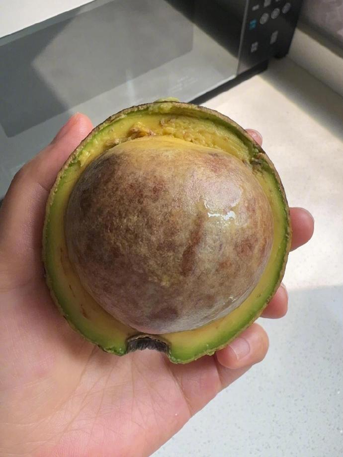 一枚拥有强大内核的牛油果 