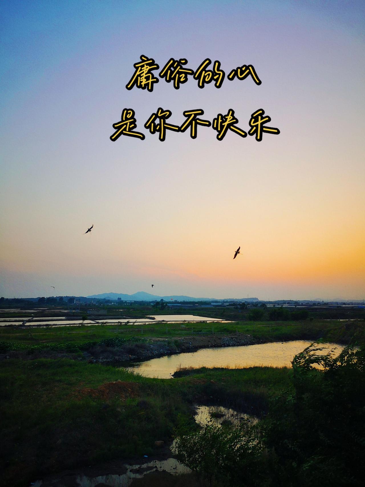 庸俗的心让一个人忽然不快乐，这个种不快乐多来自于分别心，只要你分出了善和爱，你会