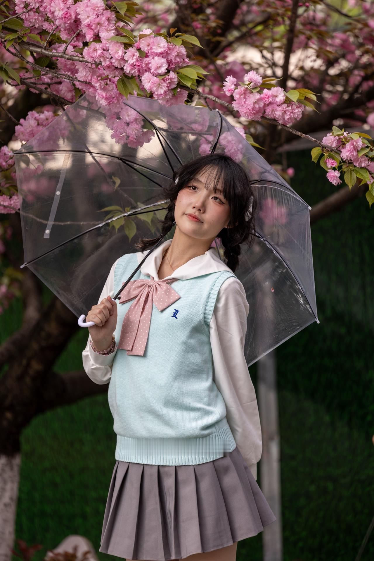 组图｜春风赴约，樱花漫枝🌿撑一把透明伞，接住整个春天的温柔，花期很短，浪漫很长
