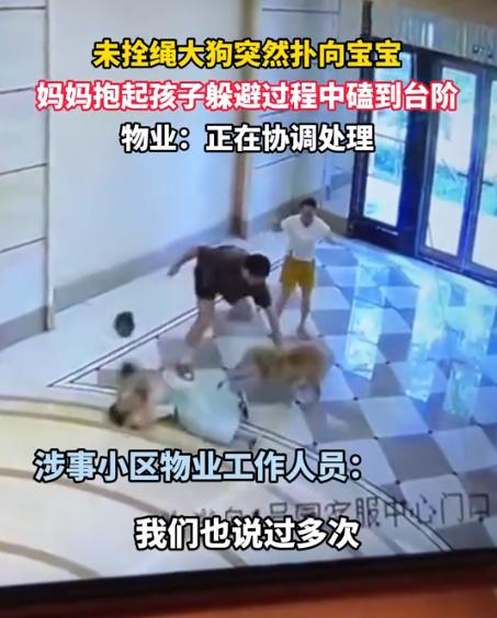 “必须严惩！”广东广州，一女子正带着孩子在楼下玩耍，突然，一条没有栓绳的大狗冲向