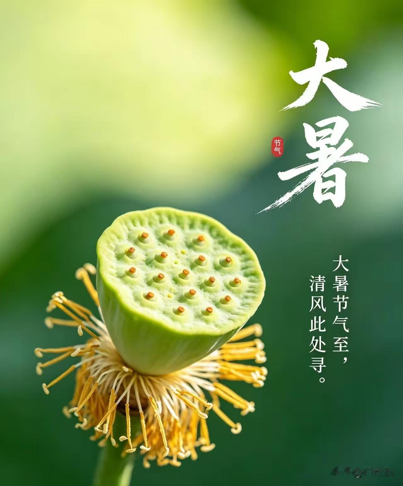 今天就是大暑，2026年交节在7月23日凌晨3点12分。老话讲“早大暑凉半月，晚