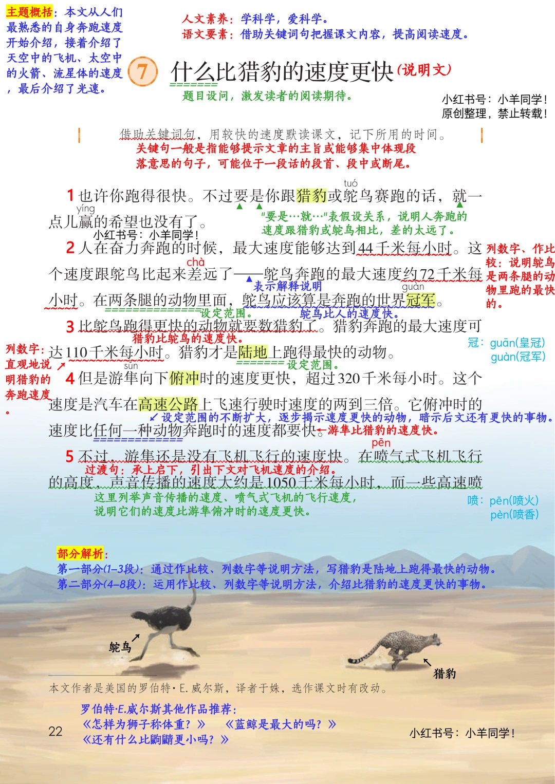 五上语文第7课《什么比猎豹的速度更快》笔记