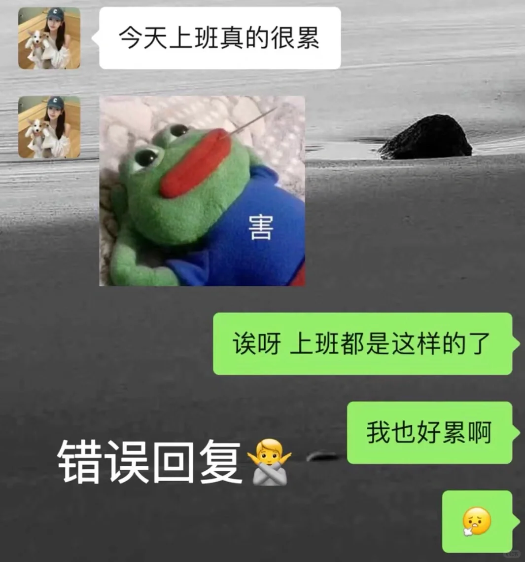 会提供情绪价值的男生真的yyds