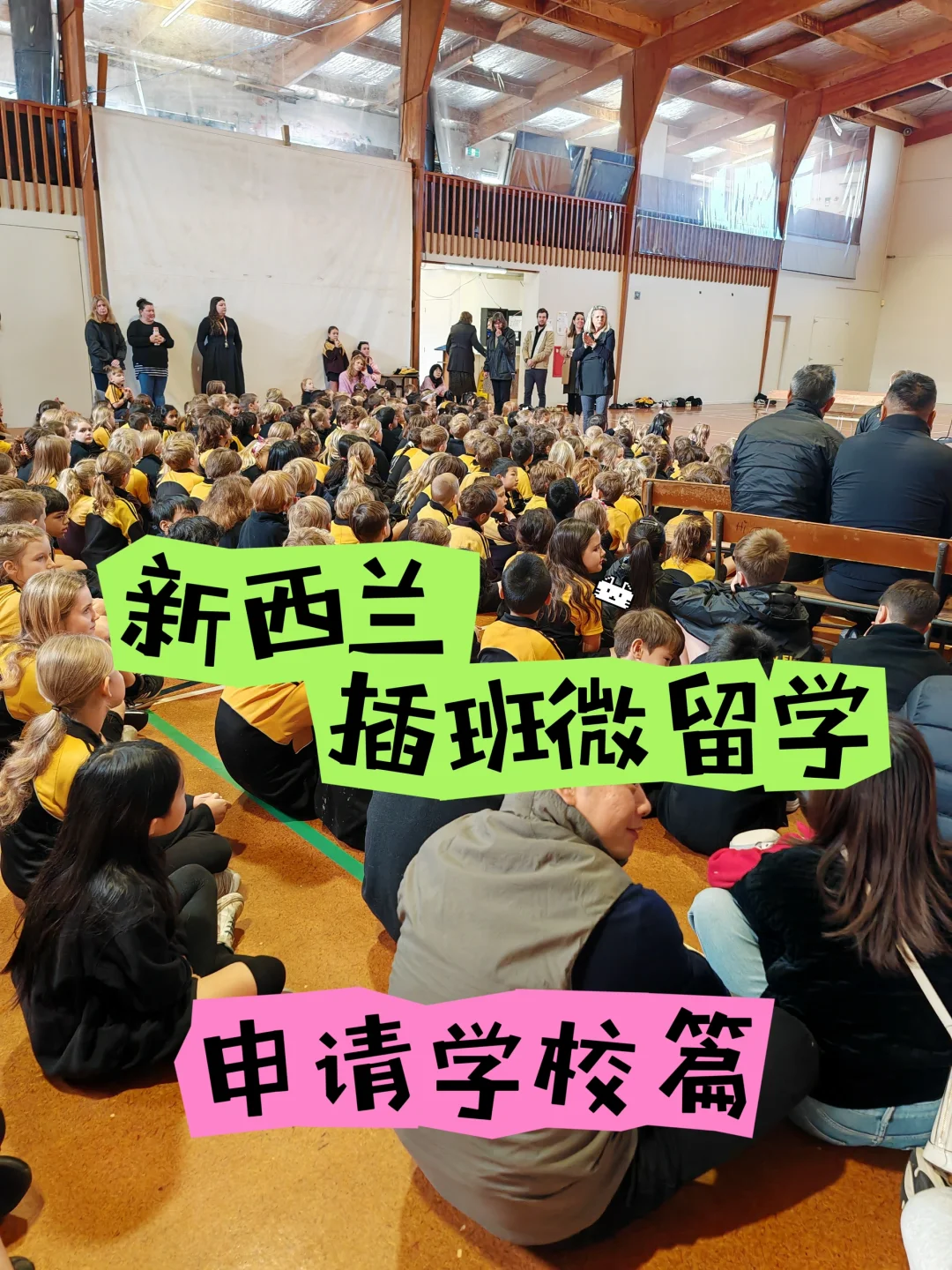 新西兰插班微留学：申请学校篇