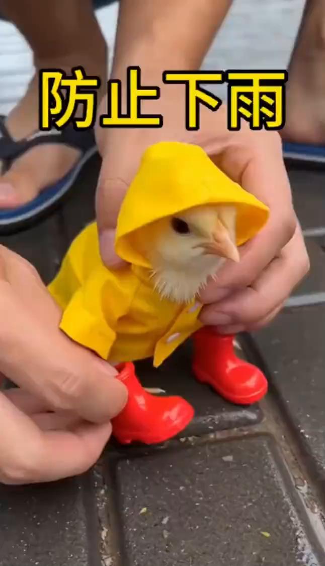 防止下雨。