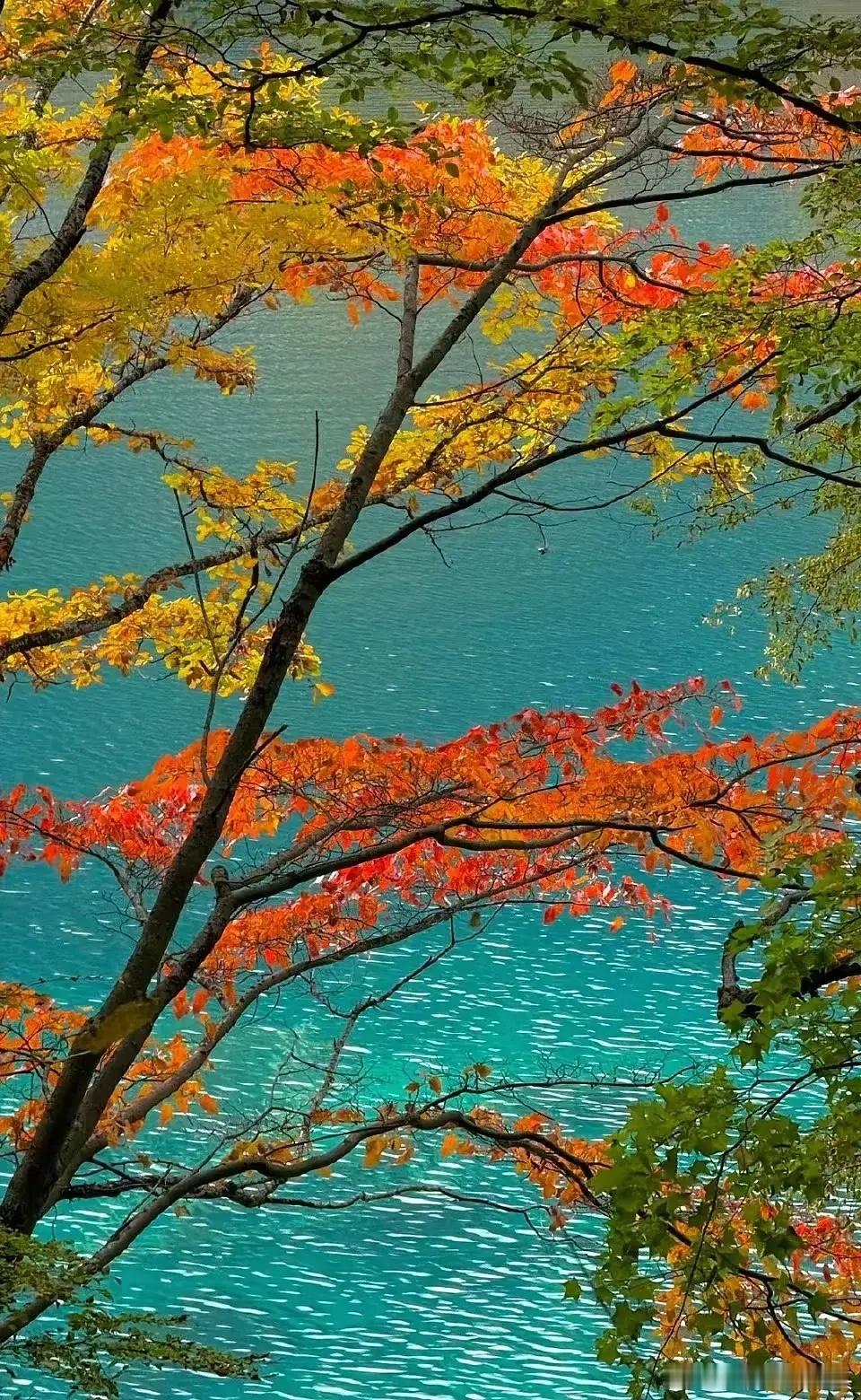 人到中年，爱自己才是终身浪漫的开始陈道明有段扎心的话：人老了才懂，你耗尽心力培养