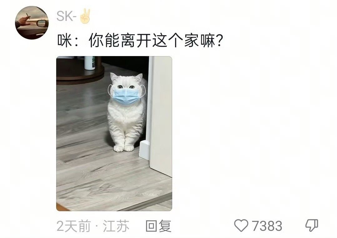 久病床前无孝咪哈哈哈哈哈哈知道看着主人就是好咪 