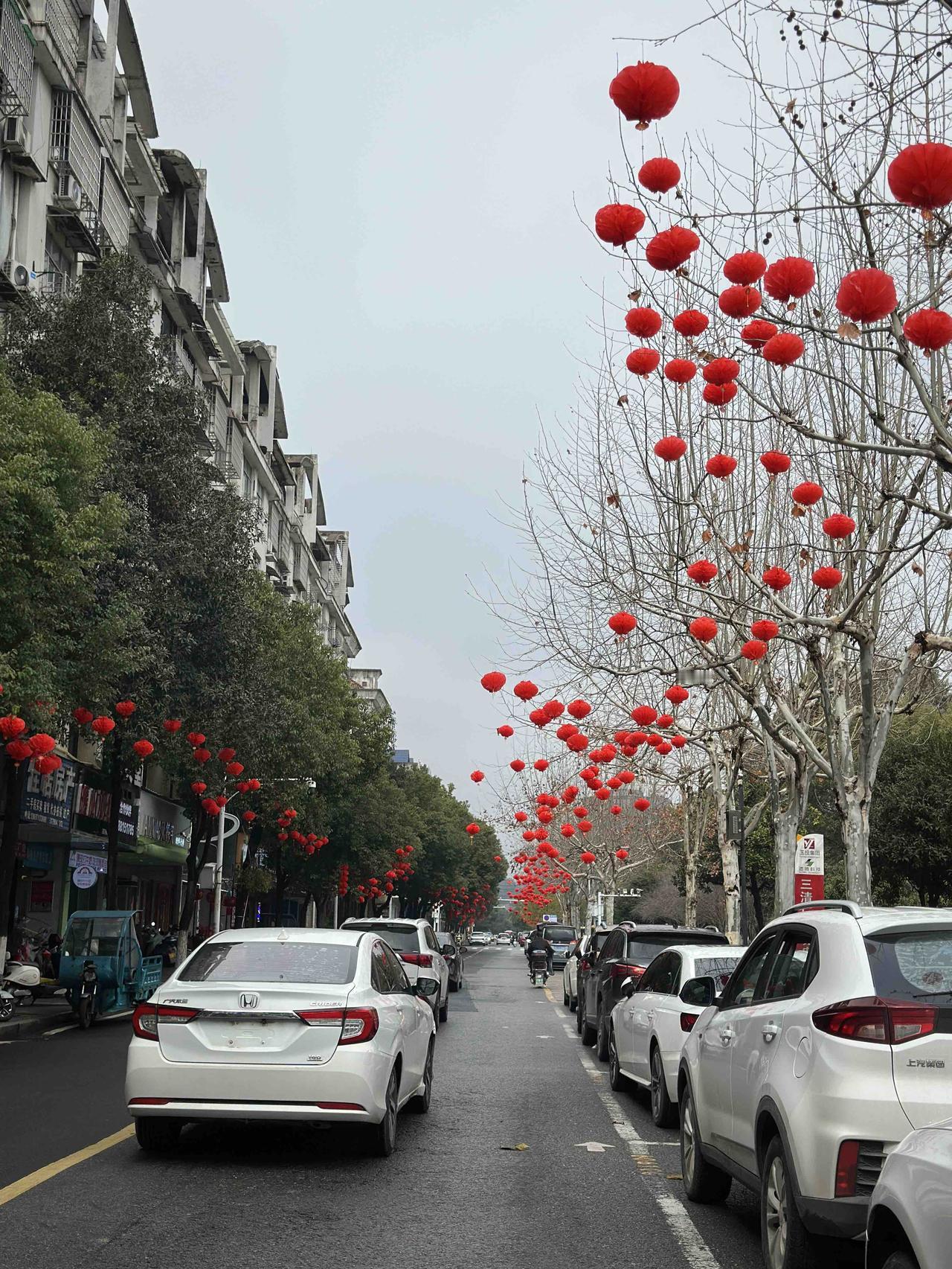 春节特有的街景：街道两边的大树上都挂满了红灯笼。

每年过春节经过这条街道，我都