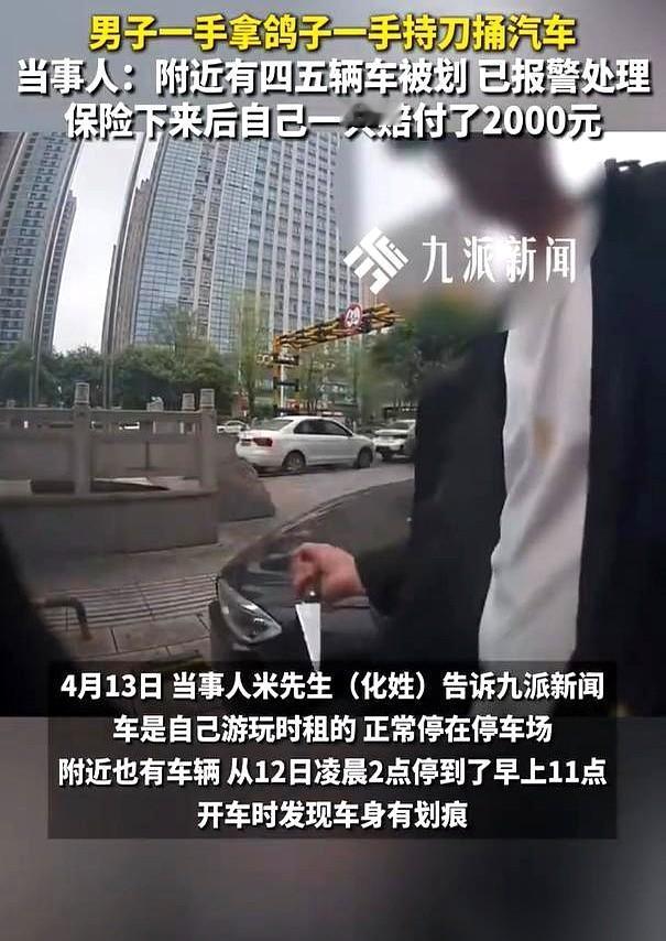 湖南长沙一个停车场，凌晨两点，万籁俱寂。
一个男人，左手死死攥着一只鸽子，右手反