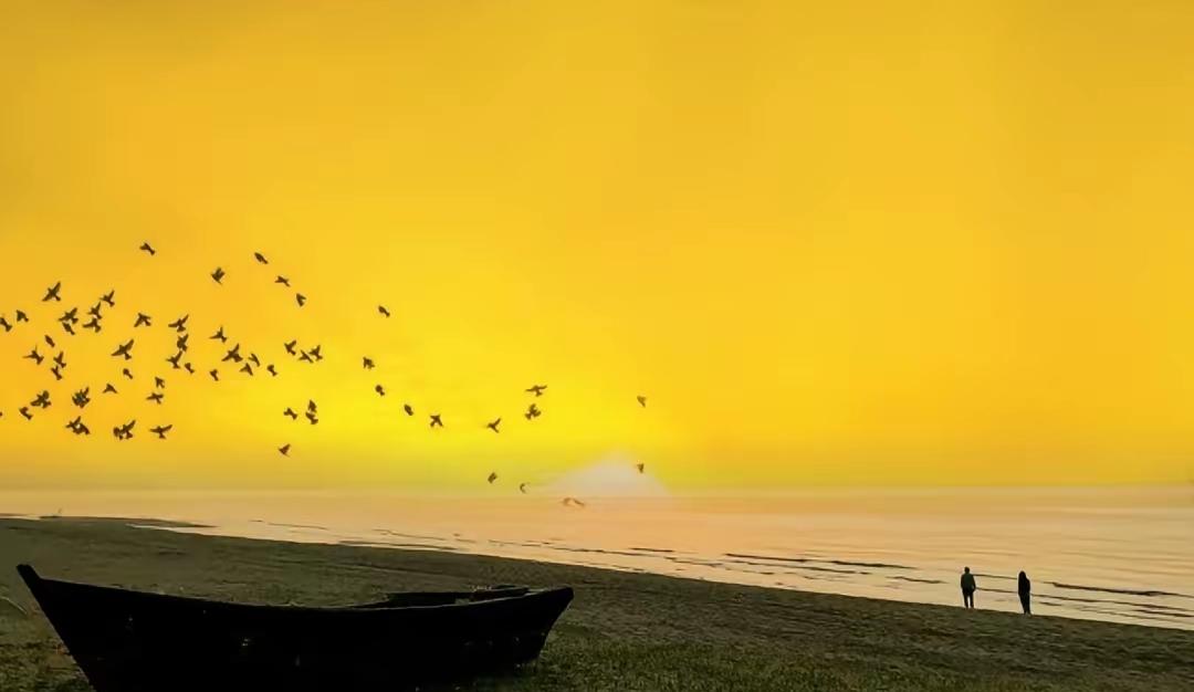 如果你们问我这里需不需要割肉？我还是会说，除非你已经下定决心销户了，如果不销户，