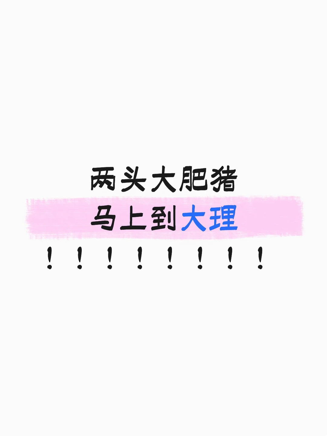 两头大肥猪马上到大理！！！！！！！！！！！ 说走就走了！啥攻略都没做?...