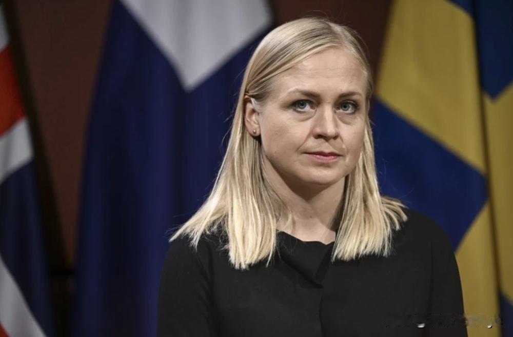 芬兰外长瓦尔托宁近日接受采访中，当被问到如何看待其他国家认为欧洲“傲慢乏味”时，