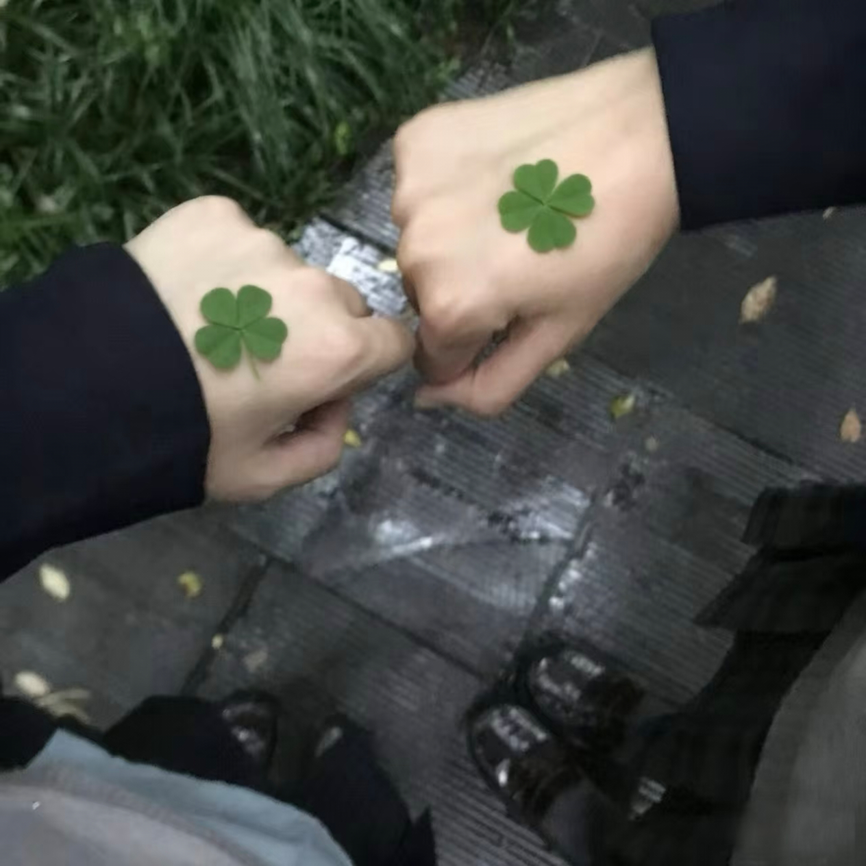 背景图 | 𝐖𝐞𝐂𝐡𝐚𝐭 | 朋友圈背景图  绿色背景图💚幸运四叶