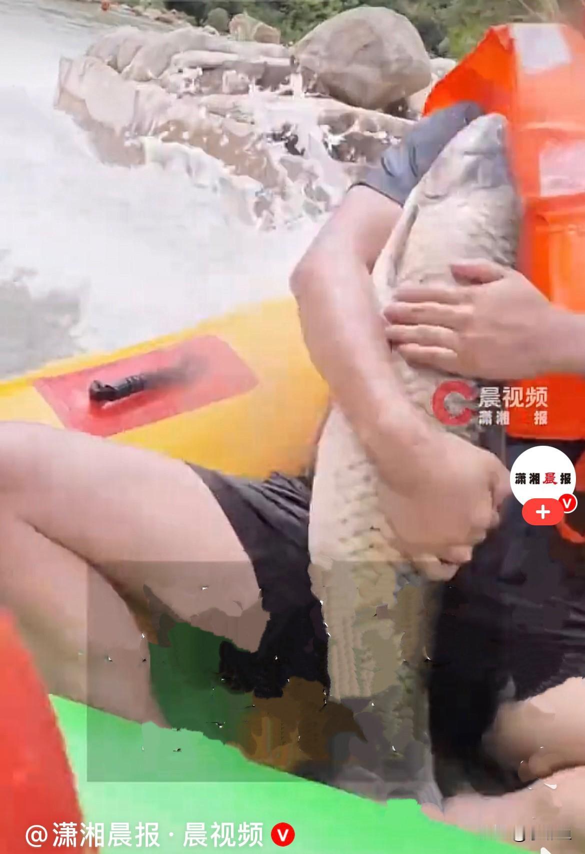 哈哈，近日湖北黄冈胡先生带着一家人到蕲春大峡谷漂流，船刚划到浅水区，大家一眼瞅见