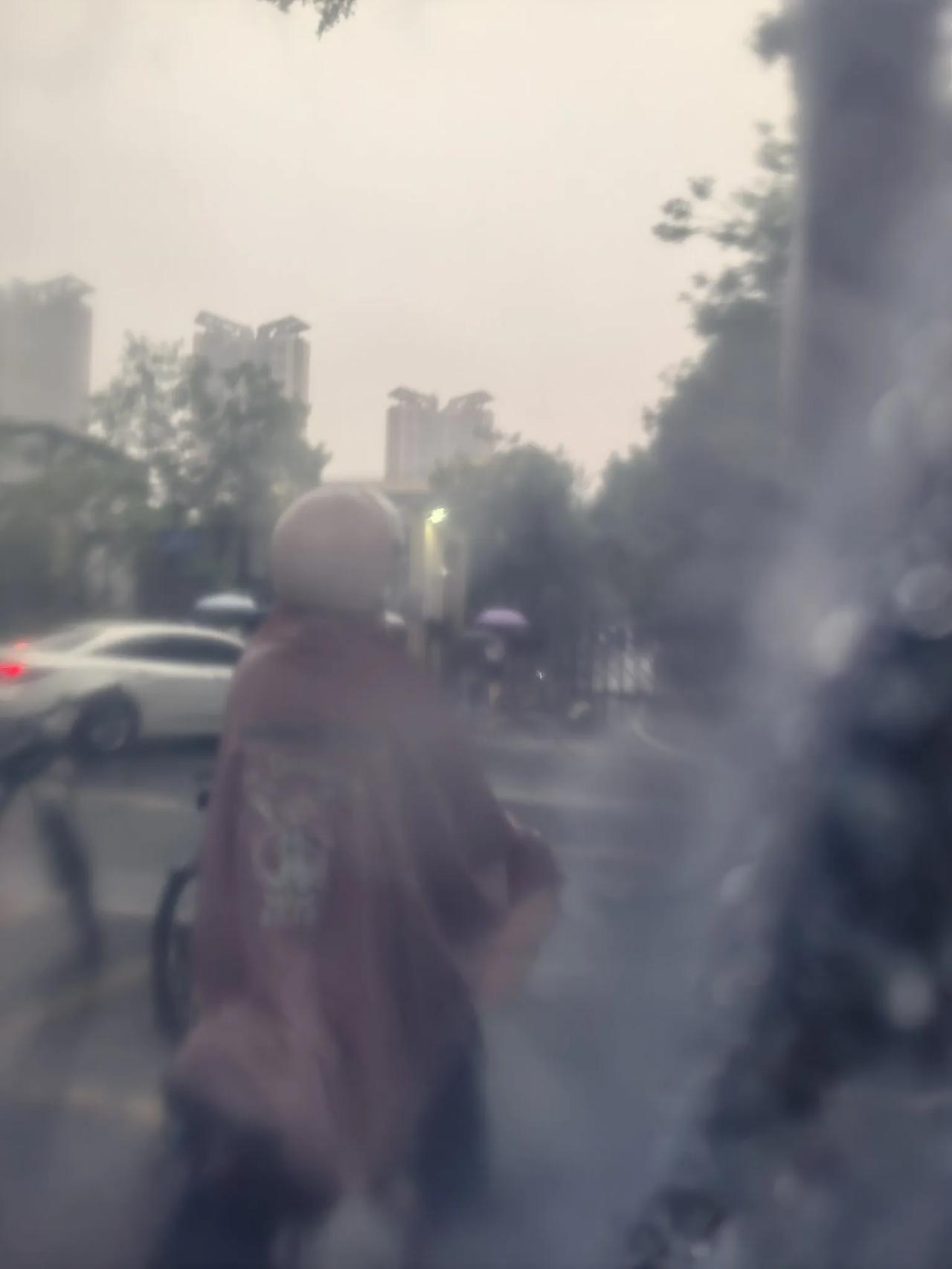 众生皆苦，唯有自渡，人活着，总是会经受各种各样的苦难，舒服是留给死人的，无人能拯