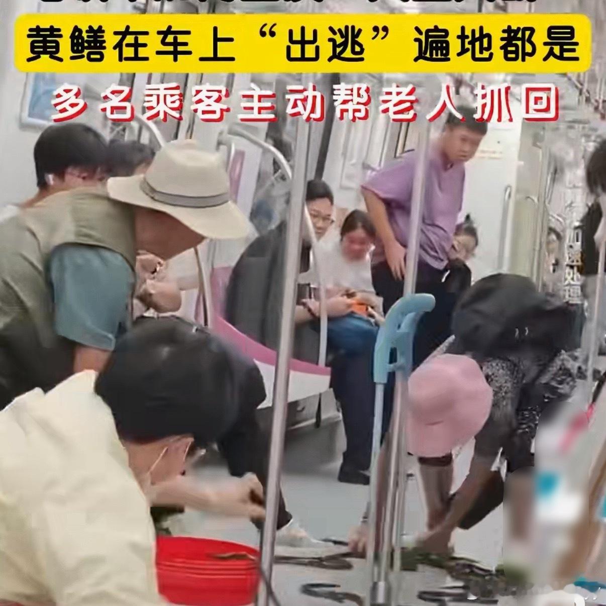 南京地铁车厢上演人鳝大战一位戴帽子大爷携带的红色塑料桶倾倒，桶内袋口未扎紧，近3
